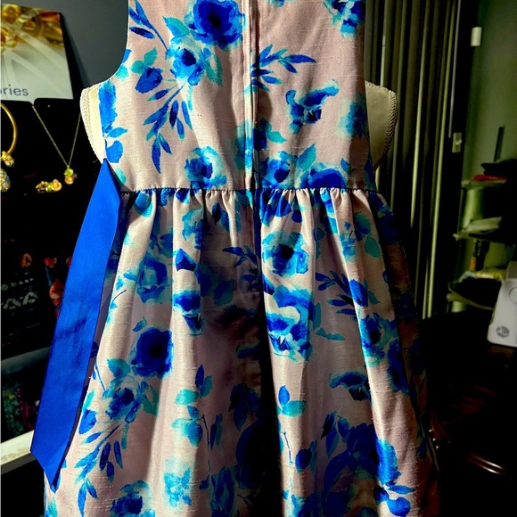 Bonnie Jean Girl Pink Blue Flower Special Occasion Dress Size 5 Preowned - Picture 4 of 6